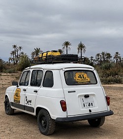 4L palmeraie