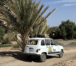 4L Palmeraie