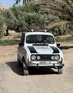 4L Palmeraie
