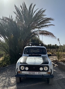4L Palmeraie