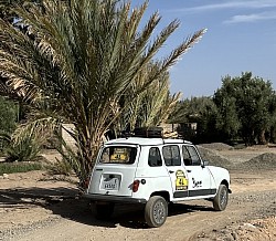 4L Palmeraie