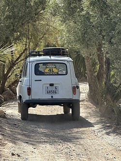 4L Palmeraie